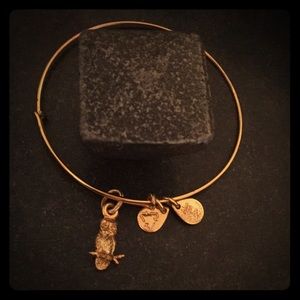 Alex and Ani bracelet